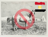 المملكة تحظر الاستيراد من جمهورية مصر العربية