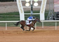 الجواد “شارق الخالدية” يفوز بشوط الخيل العربية بسباقات الخالدية