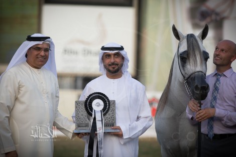 النتائج النهائية بالصور لبطولة أبوظبي الدولية لجمال الخيل العربية الأصيلة 2018