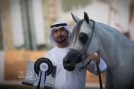 إنجازان جديدان للبداير في بطولة ابوظبي الدولية 2018 لجمال الخيل العربية