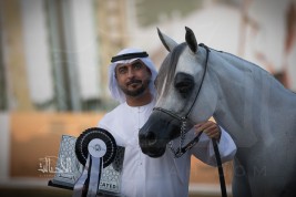 إنجازان جديدان للبداير في بطولة ابوظبي الدولية 2018 لجمال الخيل العربية