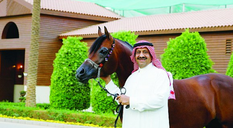 الخالدية تشارك في بطولة المغرب وتحقق ذهبية الأمهار والأفراس