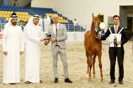 صور مقتطفة من اليوم الأول لبطولة الشارقة الدولية ٢٠١٨ للجواد العربي