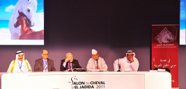 منظمة (الجواد العربي) تستعرض كيفية التعريف به وتطويره في المغرب