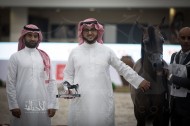 نتائج منافسات اليوم الثاني لمهرجان الشارقة الدولي للجواد العربي التاسع عشر 2018