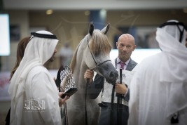  «سنمار البداير» وصيف الأمهار أعمار السنة في بمهرجان الشارقة الدولي التاسع عشر في أولى مشاركاته الدولية