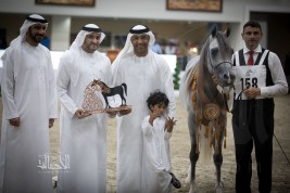 صور مقتطفة من اليوم الختامي لبطولة الشارقة الدولية ٢٠١٨ للجواد العربي