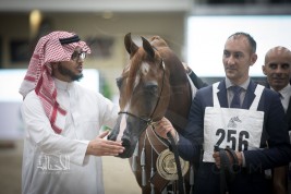 النتائج النهائية بالصور لمهرجان الشارقة الدولي للجواد العربي التاسع عشر 2018