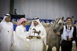 صور مقتطفة من بطولة دبي الدولية ٢٠١٨ للجواد العربي – اليوم الأول