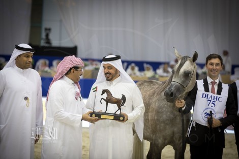 صور مقتطفة من بطولة دبي الدولية ٢٠١٨ للجواد العربي – اليوم الأول