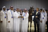 صور مقتطفة من اليوم الثاني لبطولة دبي الدولية للجواد العربي ٢٠١٨