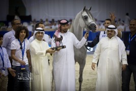 نتائج فئات اليوم الثاني لبطولة دبي الدولية للجواد العربي 2018