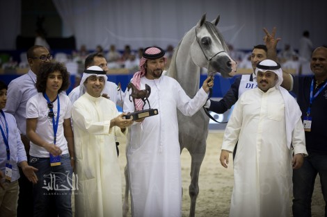نتائج فئات اليوم الثاني لبطولة دبي الدولية للجواد العربي 2018