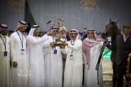 «المعود» يسطع في سماء «دبي ٢٠١٨»  للجواد العربي بذهب «ادميرال» للأمهر بعمر السنة