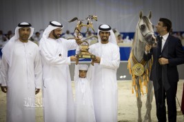«عجمان» يشع بريقاً في «دبي ٢٠١٨ » للجواد العربي بثلاث القاب (ذهبيتين وبرونز)
