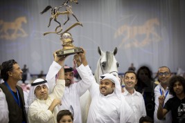 «حرير» مربط الصقران يحقق ذهب «دبي ٢٠١٨»للأفحل بالإجماع .. ويحلق عالياً