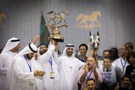 صور مقتطفة من اليوم الختامي لبطولة دبي الدولية للجواد العربي ٢٠١٨