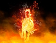 6 نصائح لحماية الخيل من ارتفاع درجة الحرارة في فصل الصيف