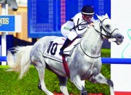 دراسة حديثة تؤكد ان ربط اللسان ذو فائدة لخيول السباقات