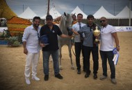 نتائج اليوم الأول من بطولة منتون الدولية ٢٠١٨ لجمال الخيل العربية