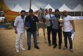 نتائج اليوم الأول من بطولة منتون الدولية ٢٠١٨ لجمال الخيل العربية