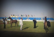 زامر الحي .. سده واستريح