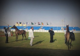 زامر الحي .. سده واستريح