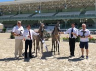 «دبي» و «ابها» يتألقان في بطولة فيتشي الدولية ٢٠١٨ لجمال الخيل العربية في فرنسا – النتائج النهائية