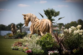 «الجواد العربي» تطلق يوم الجمعة المقبل بطولتين للخيل العربية في مدينة شانتييه الفرنسية