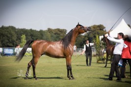 رشيدية الخشاب تنال فضية المهرات خلال شانتلي ٢٠١٨