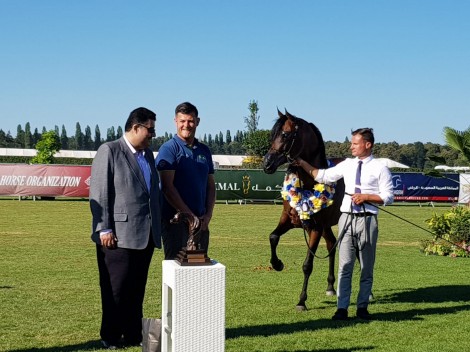 النتائج النهائية لبطولة المربين الأوربيين لمنظمة الجواد العربي شانتلي 2018