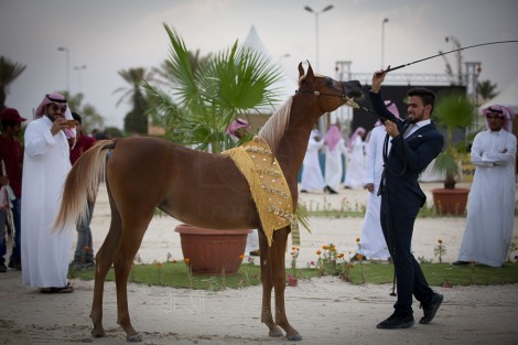 صور مقتطفة من اليوم الختامي لبطولة الإنتاج المحلي السابعة بالطائف