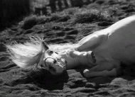 «الزراعة» تحظر استيراد الخيل من لبنان