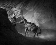 “الواهو” في معقل الدوحة للخيل العربية لأول مرة