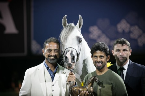 النتائج النهائية بالصور لبطولة كأس كل الأمم آخن 2018 لجمال الخيل العربية الأصيلة