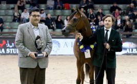 ميداليتان فضيتان لمربط عذبة في البطولة الأوروبية ٢٠١٨ ببلجيكا