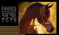 بطولة العالم لجمال الخيل العربية 2018 تنطلق ظهر غدٍ الجمعة بباريس – برنامج البطولة