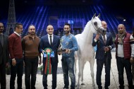 نتائج اليوم الأول لبطولة العالم باريس 2018  لجمال الخيل العربية الأصيلة
