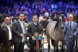 نتائج اليوم الثاني لبطولة العالم باريس 2018 لجمال الخيل العربية الأصيلة