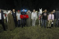 369 خيلا شاركت في مهرجان الخيول العربية بالزهراء في مصر و «الصافنات» تتوج كأفضل مزرعة
