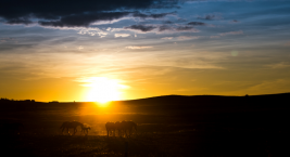 تغطية مباشرة لبطولة دبي عبر قناة دبي ريسينغ