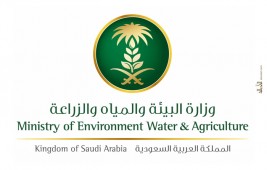 “البيئة” تدعو ملاك الخيل لعدم التنقل بخيولهم بالرياض 7 أيام