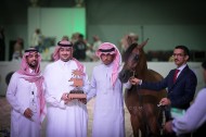 نتائج اليوم الأول لبطولة الرياض 2019  لجمال الخيل العربية الأصيلة 