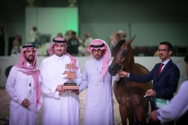 نتائج اليوم الأول لبطولة الرياض 2019  لجمال الخيل العربية الأصيلة 