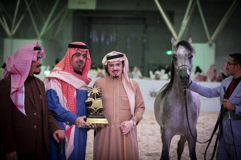 نتائج اليوم الثاني لبطولة الرياض 2019  لجمال الخيل العربية الأصيلة 