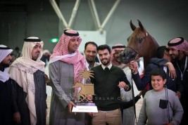 صور مقتطفة من اليوم الختامي لبطولة الرياض 2019 لجمال الخيل العربية الأصيلة