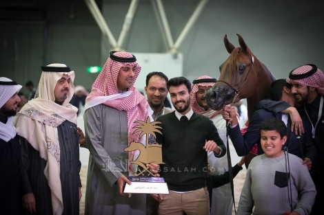 صور مقتطفة من اليوم الختامي لبطولة الرياض 2019 لجمال الخيل العربية الأصيلة
