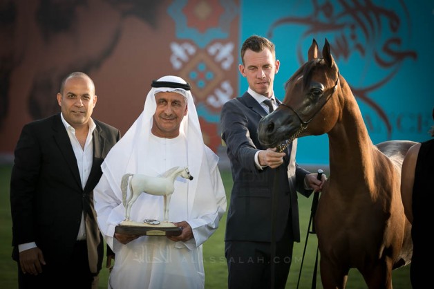 نتائج اليوم الأول والثاني لبطولة عجمان 2019 لجمال الخيل العربيةالأصيلة