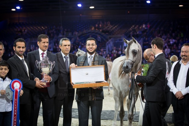 مربط السيد مسيرة 10 أعوام من الإنجازات 2009-2019