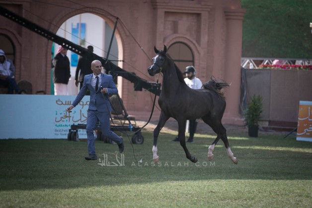 يوم واحد متبقي على إغلاق التسجيل في بطولة الأمير سلطان العالمية 2020 – نموذج التسجيل